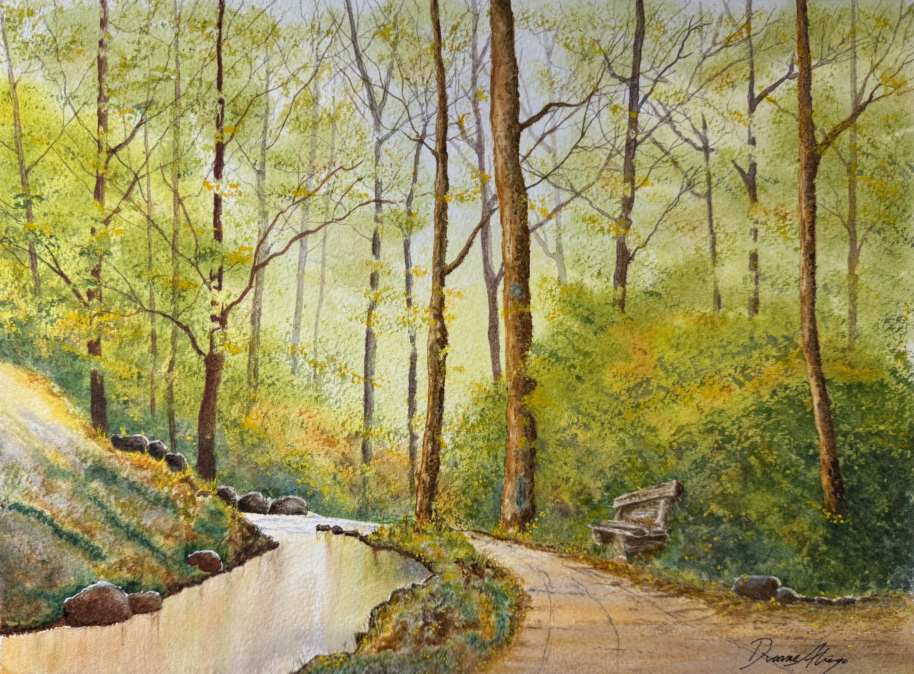 Forest Stream