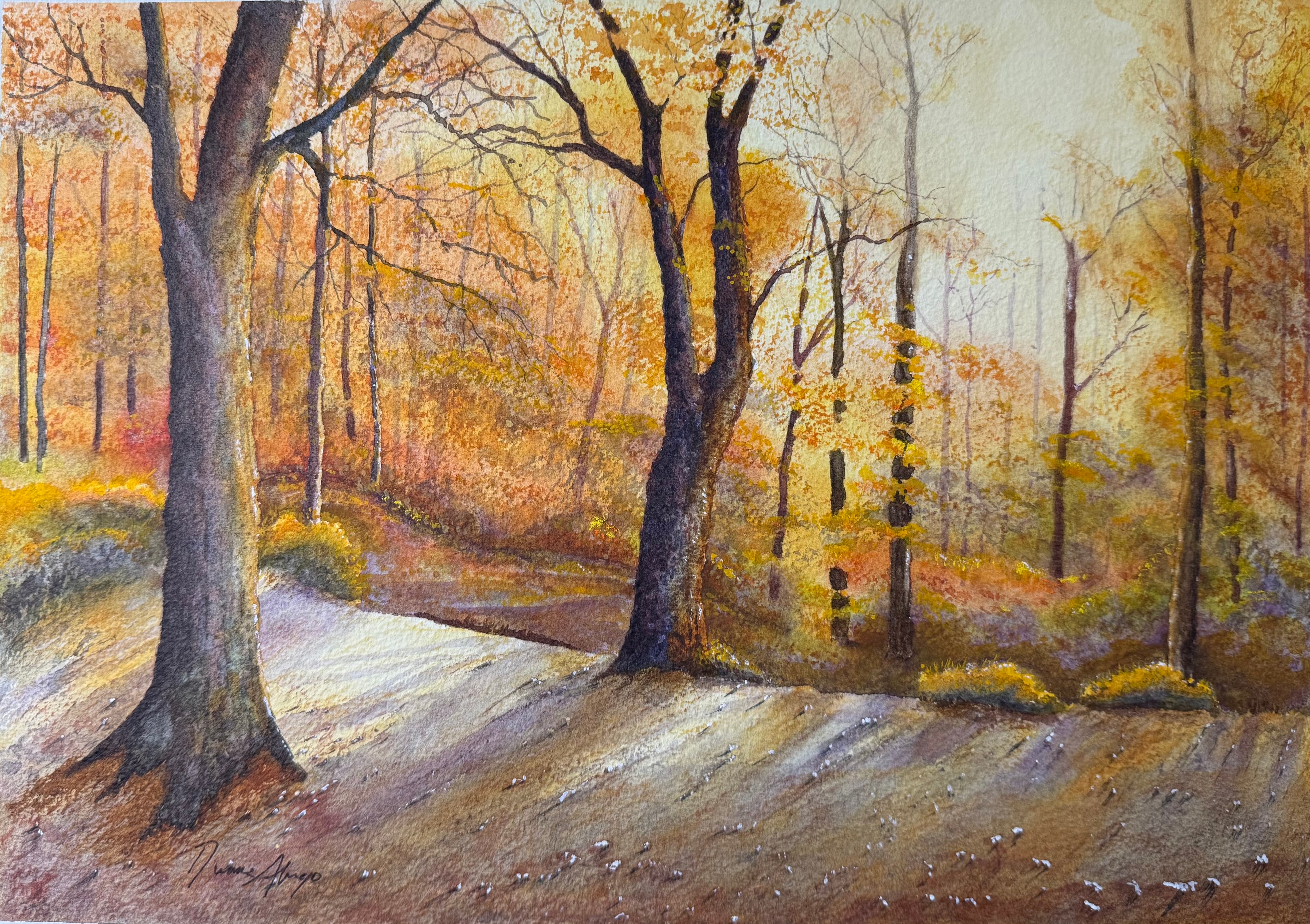 Autumn Forest Path