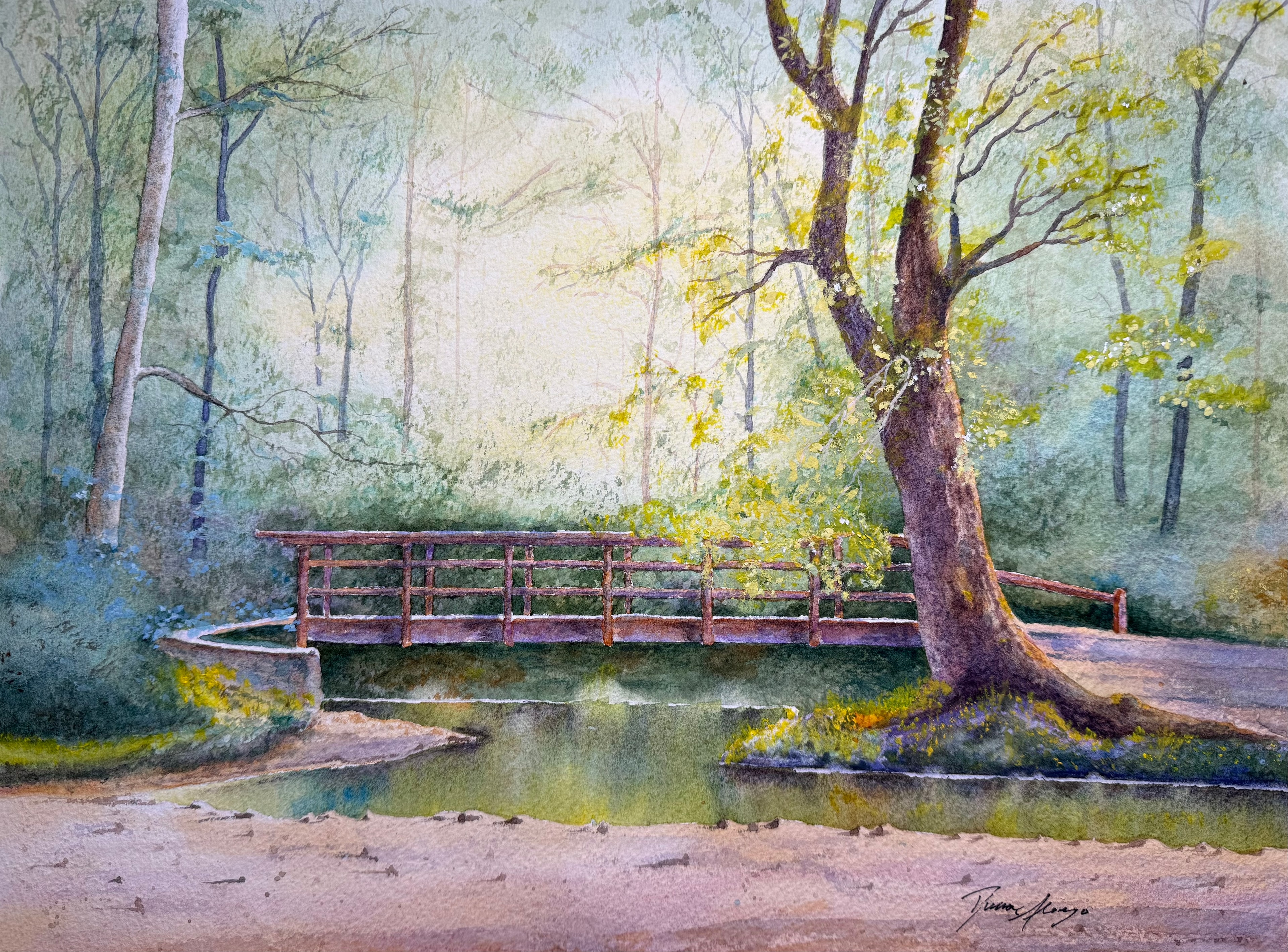 Forest Bridge